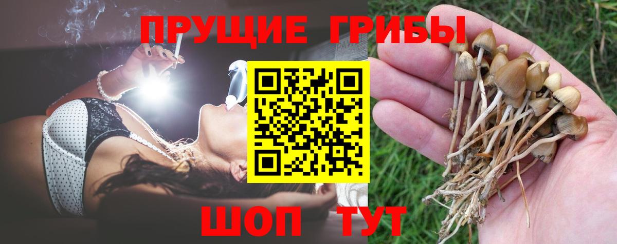 Железноводск  Псилоцибиновые грибы прущие грибы  Вход с VPN  Галлюциногенные грибы Magic Shrooms 